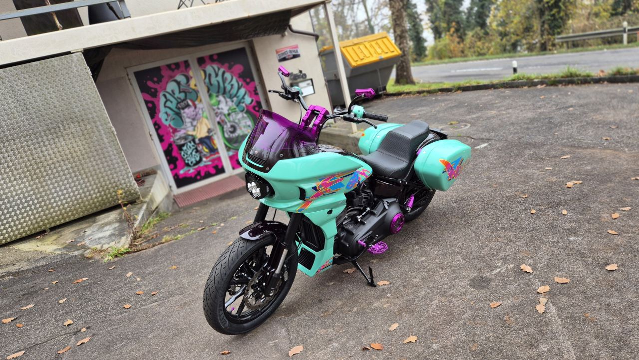 HD Low Rider ST 80s Clubstyle (3)