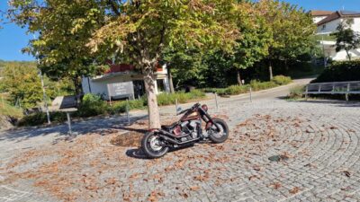 Vintage Soul, Modern Power: Unsere Harley-Davidson Slim im ultimativen Bobber-Umbau!